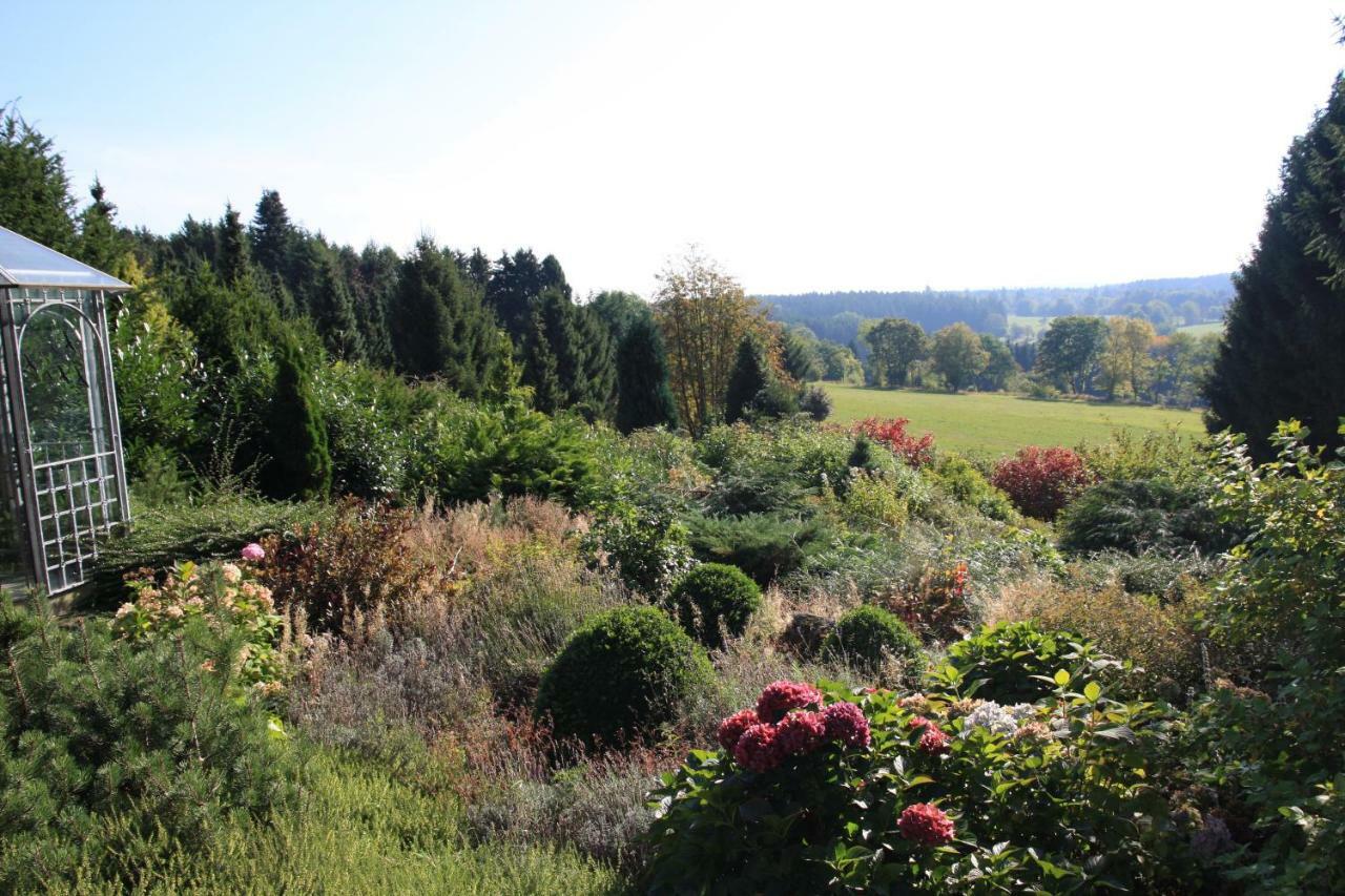 Ferienhaus Sonne, Harz Und Sterne Villa Hohegeiss Bagian luar foto