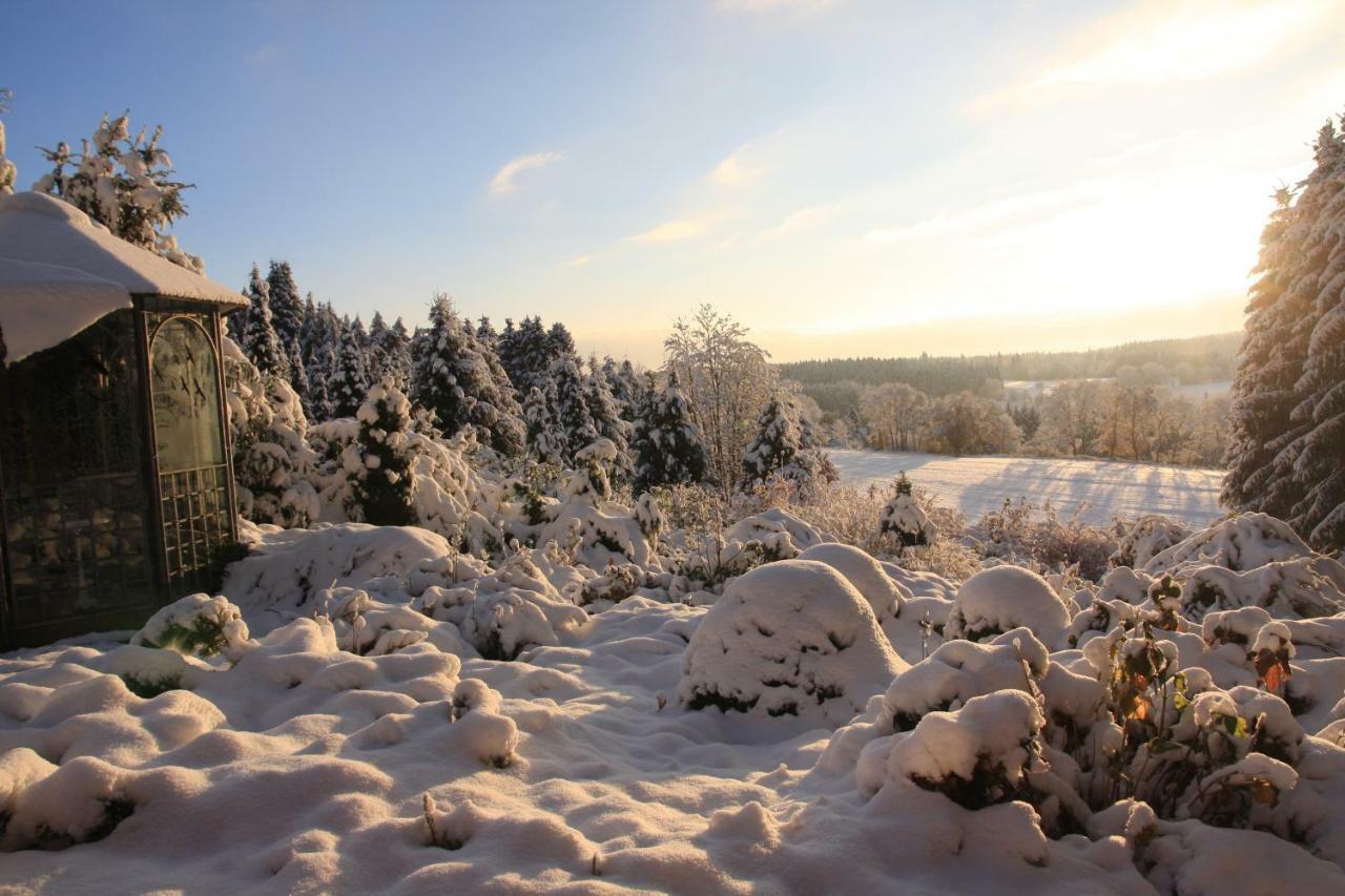 Ferienhaus Sonne, Harz Und Sterne Villa Hohegeiss Bagian luar foto