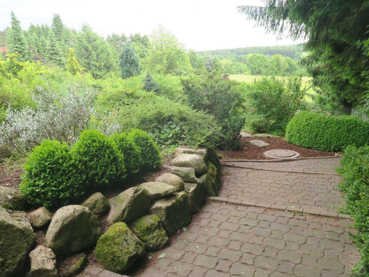 Ferienhaus Sonne, Harz Und Sterne Villa Hohegeiss Bagian luar foto