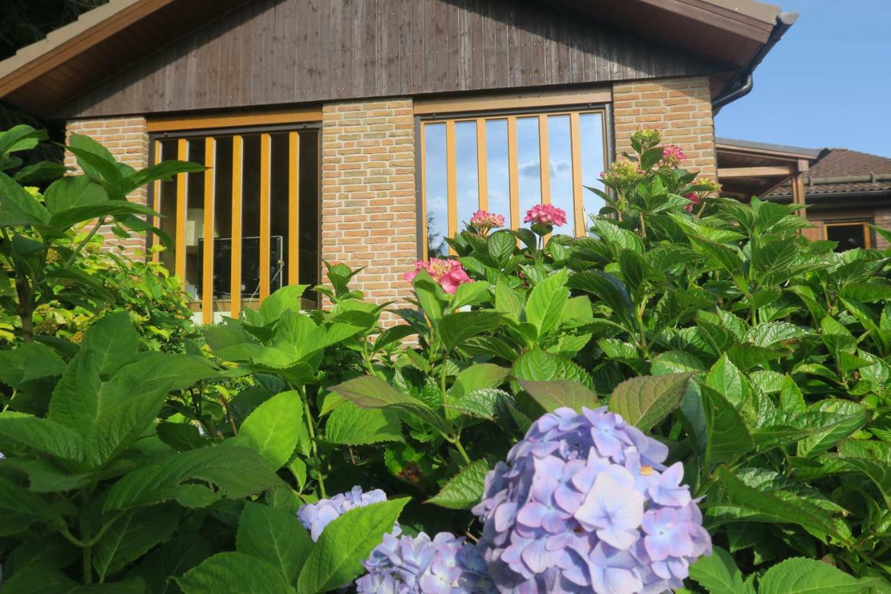 Ferienhaus Sonne, Harz Und Sterne Villa Hohegeiss Bagian luar foto