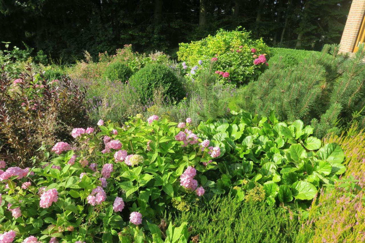 Ferienhaus Sonne, Harz Und Sterne Villa Hohegeiss Bagian luar foto